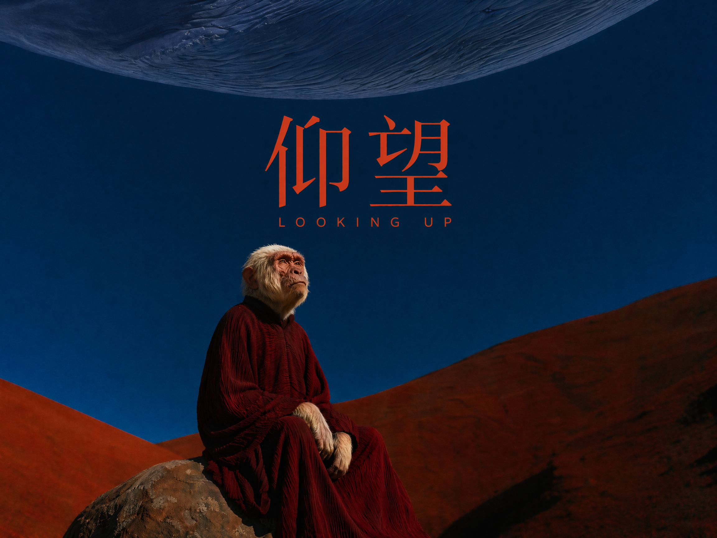五香飞兔荣誉作品海报